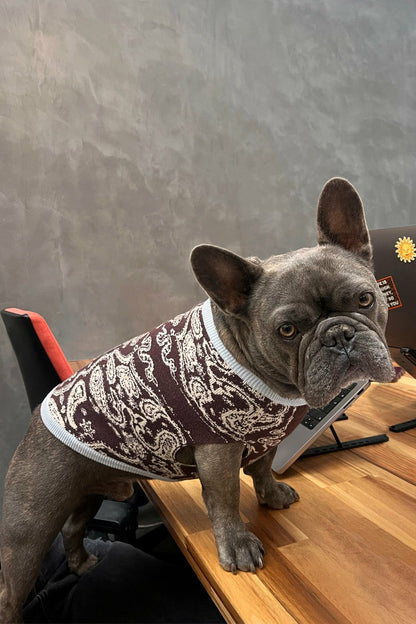 Never Fully Dressed Customer Favorite - Chocolate Bandana Dog Jumper