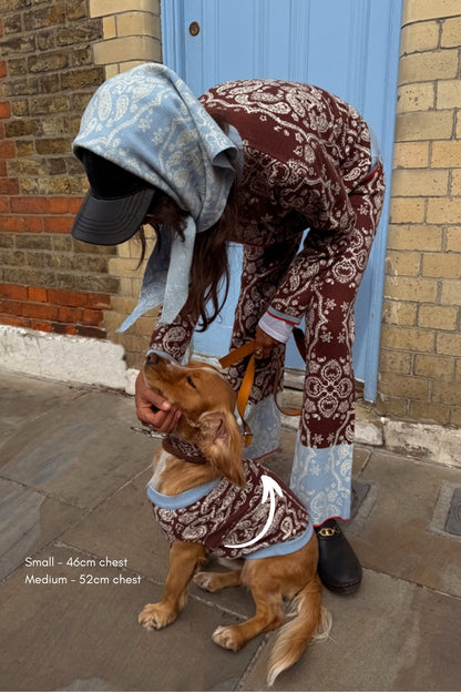 Never Fully Dressed Customer Favorite - Chocolate Bandana Dog Jumper