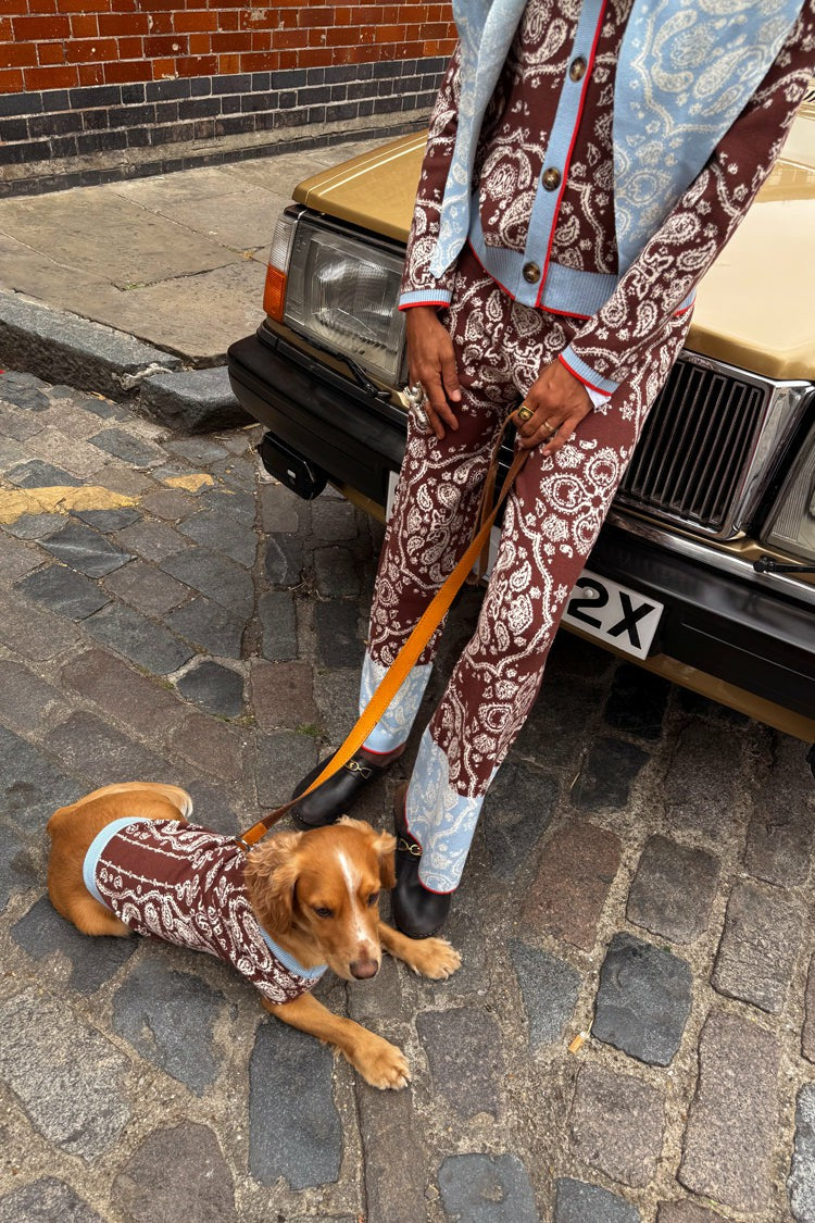 Never Fully Dressed Customer Favorite - Chocolate Bandana Dog Jumper