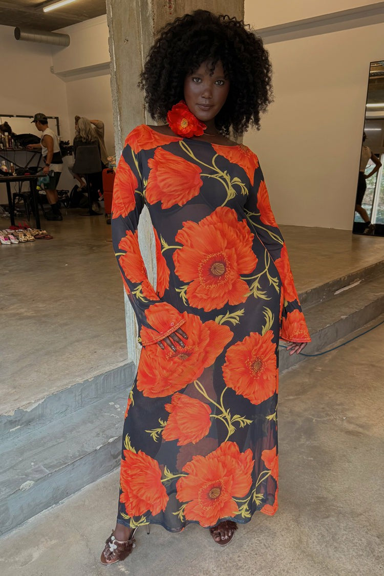Never Fully Dressed Featured - Black Poppy Aria Mesh Dress with Slip